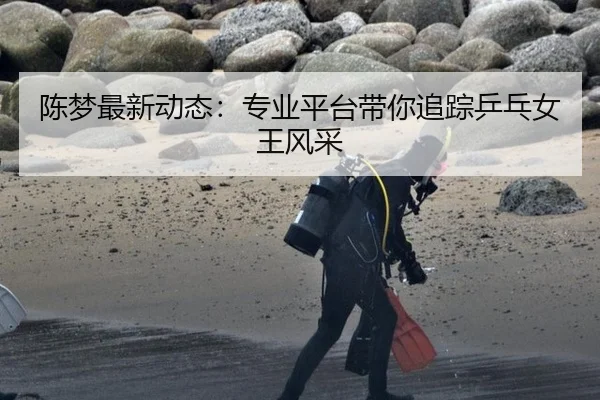 陈梦最新动态：专业平台带你追踪乒乓女王风采